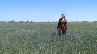 В Астраханской области будут выращивать новые сорта хлебной пшеницы