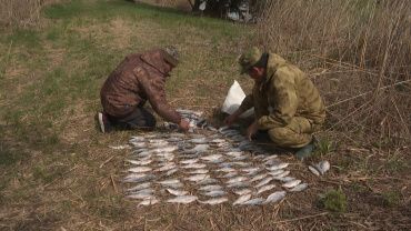 В ходе рейда в Астраханской области выявили рыбаков-нарушителей